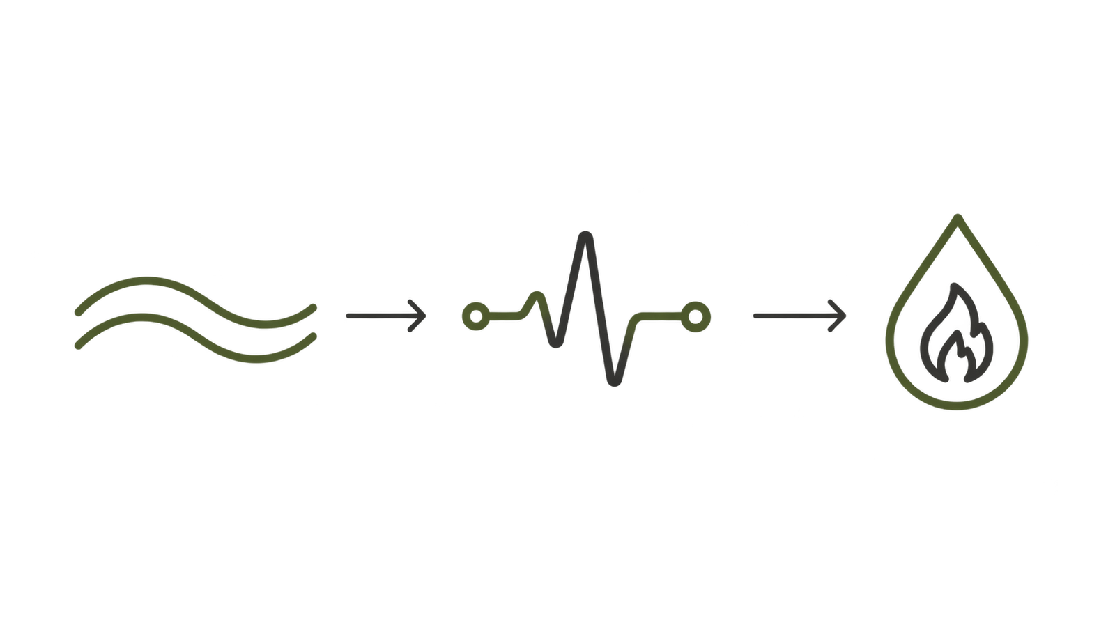 The cortisol and appetite cycle, step by step